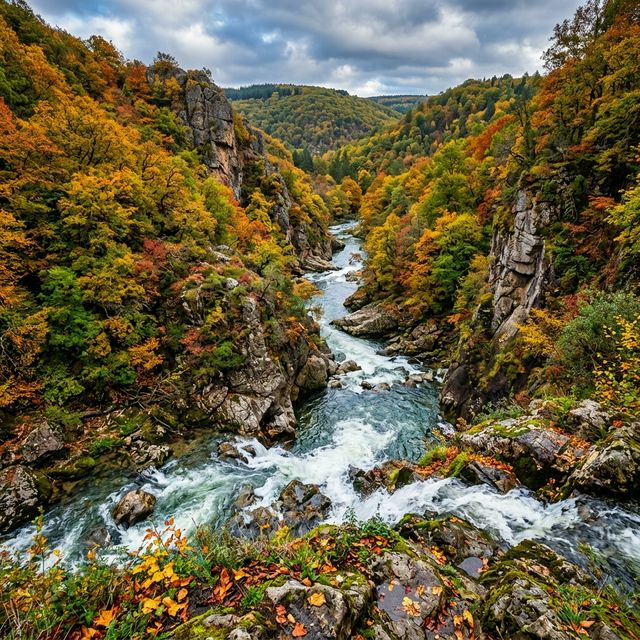 Lac et forêt du Limousin pour préparer une carte de pêche à Vassivière
